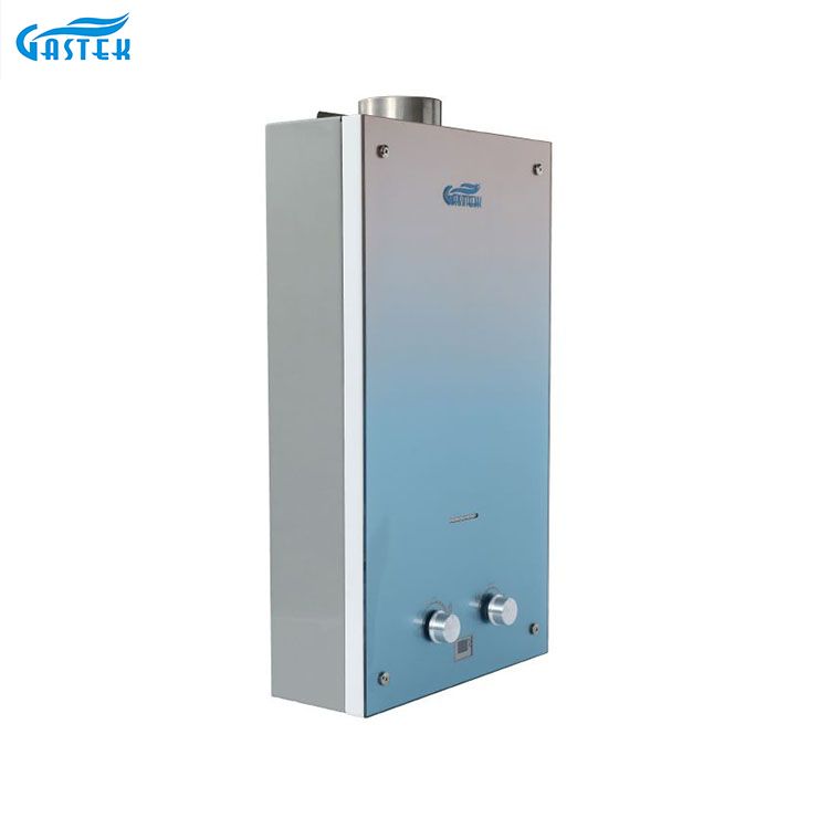 Eletrodomésticos 6L 10L 12L Tipo de combustão Painel de vidro personalizado montado na parede Geyser de gás instantâneo sem tanque para banho de chuveiro