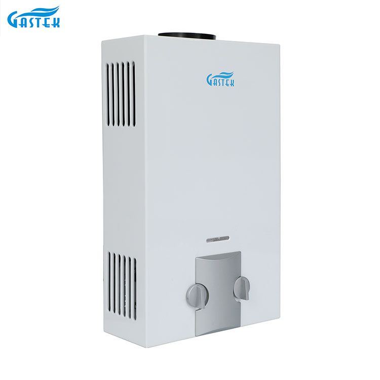 Fábrica de eletrodomésticos OEM ODM tipo de combustão montado na parede 6L 10L 12L 16L 20L GLP Tankless Gêiser de gás instantâneo para chuveiro