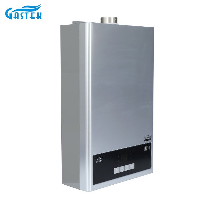 Eletrodomésticos Tipo forçado Eletricidade 220V 110V Turbo Tamanho compacto Aquecedor de água a gás sem tanque para chuveiro